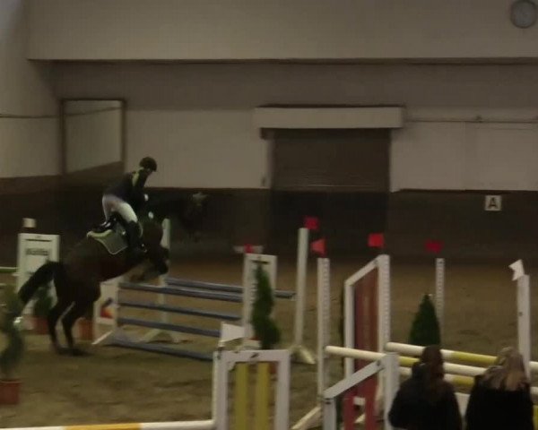 Winterchampionat Essen Stadtwald 2013