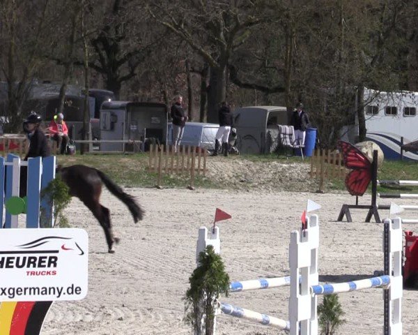 Reitturnier Pietzpuhl 2025