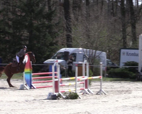 Reitturnier Pietzpuhl 2025