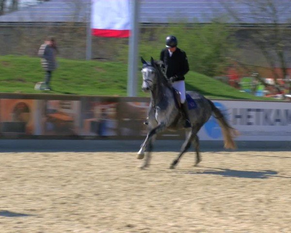 Reitturnier Borken 2025