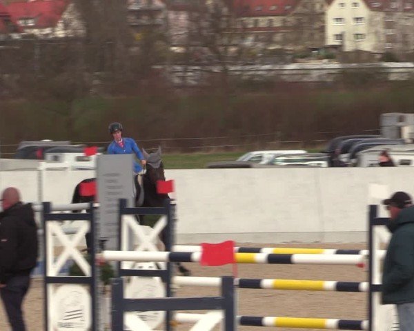 Reitturnier Zwickauer Winter Edition 2025