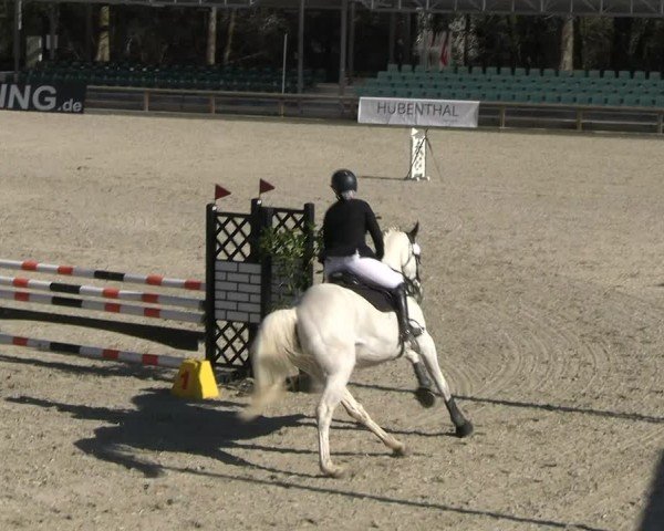 Reitturnier Balve-Wocklum 2025