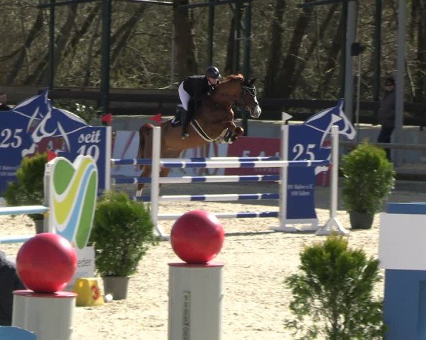 Reitturnier Balve-Wocklum 2025