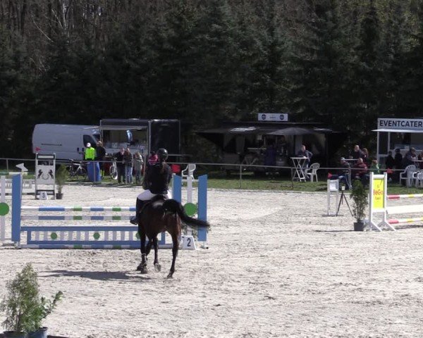 Reitturnier Pietzpuhl 2025