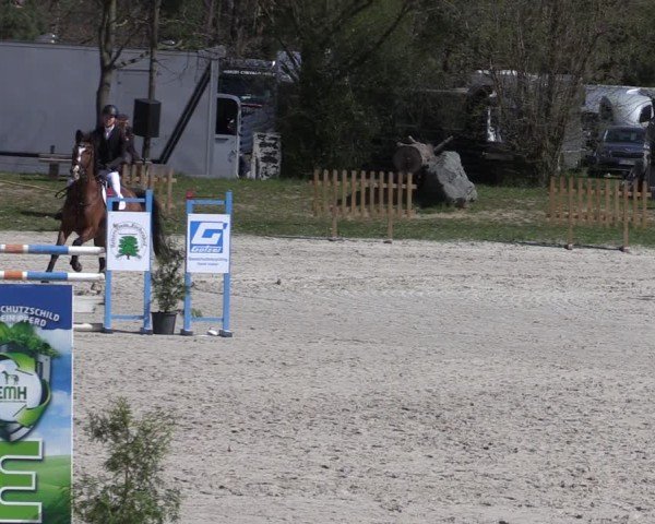 Reitturnier Pietzpuhl 2025