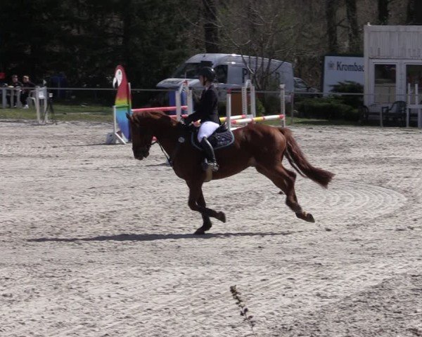 Reitturnier Pietzpuhl 2025