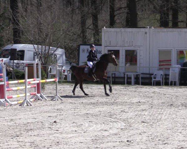 Reitturnier Pietzpuhl 2025