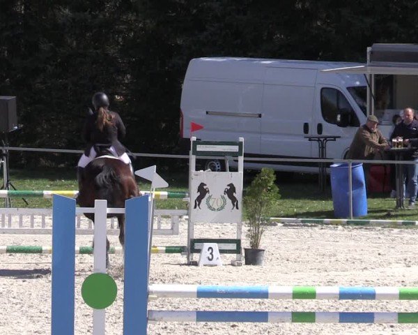 Reitturnier Pietzpuhl 2025