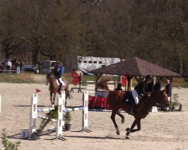 Reitturnier Pietzpuhl 2025
