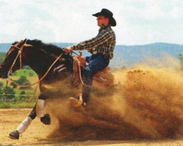 Pferd GB Jac (Quarter Horse, 1997, von Jacs on Top)