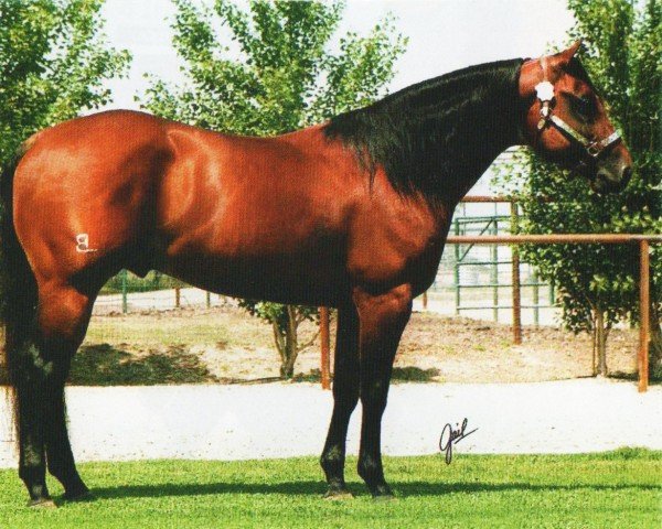 horse Topgun Whiz (Quarter Horse, 1995, from Topsail Whiz)