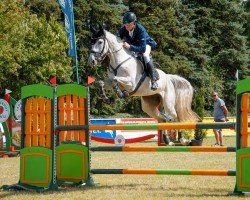 jumper Cosma 70 (Oldenburg show jumper, 2018, from Cellestial)