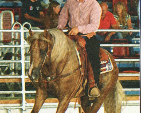 Pferd The Little Fighter (Quarter Horse, 1999, von Smartin Off)