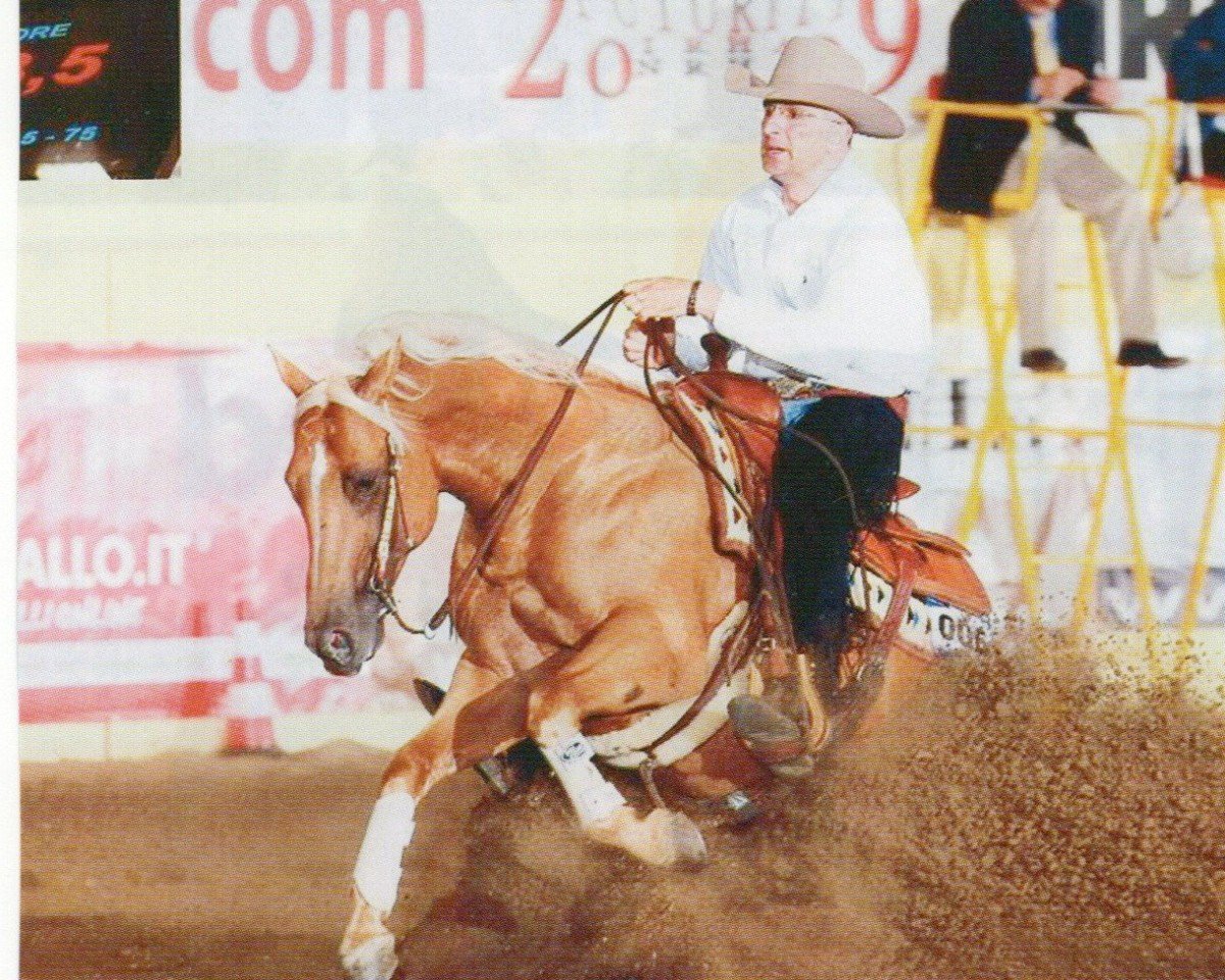horse Okie Dun Badger (Quarter Horse, 2002, from Okie Dun It Too)