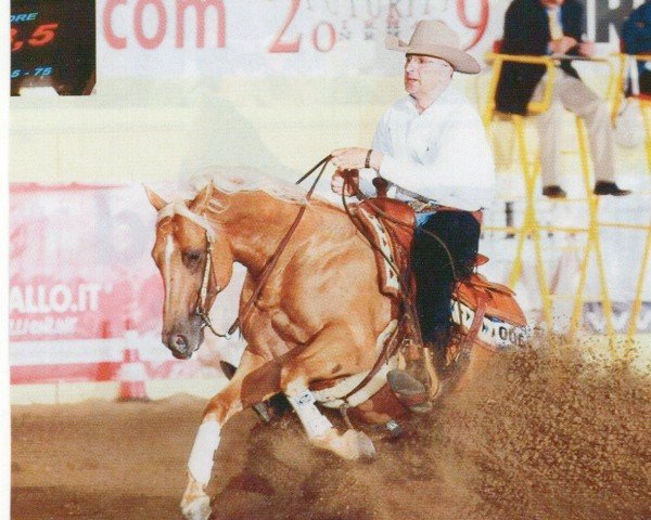 horse Okie Dun Badger (Quarter Horse, 2002, from Okie Dun It Too)