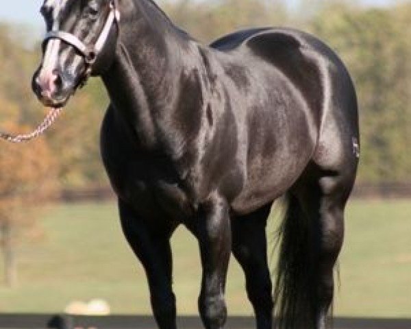 horse Night Deposit Chex (Quarter Horse, 1997, from Nu Chex To Cash)