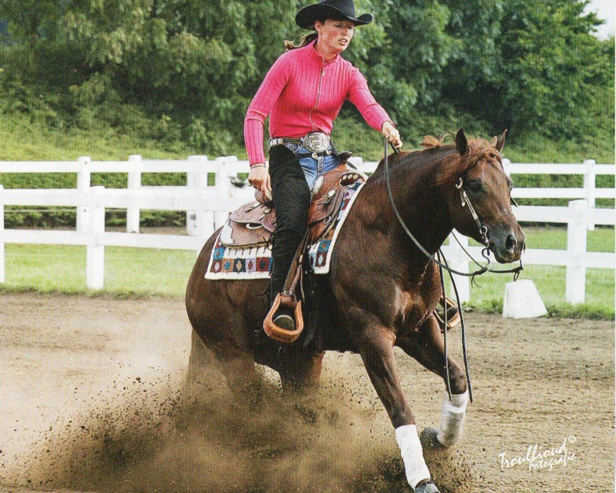 Horse ND Whiz N Starlight (Quarter Horse, 2003, from Topsail Whiz)