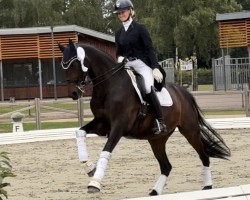 dressage horse Ronja 2256 (Westphalian, 2009, from Rockwell)