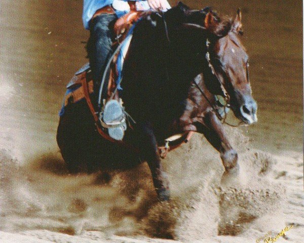 horse RS Vobinda (Quarter Horse, 1998, from McJac Flash)