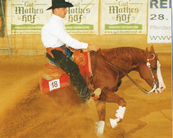 Deckhengst XP Absolut Rooster (Quarter Horse, 2000, von Lena Cielo)