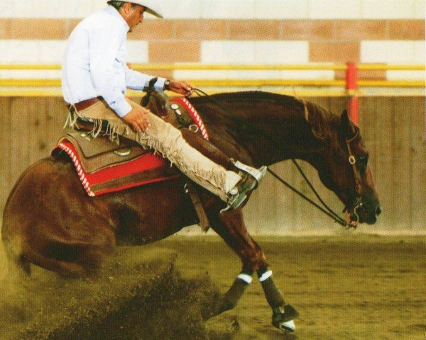 horse RS Great Jac Feona (Quarter Horse, 2000, from McJac Flash)