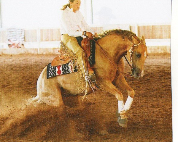 horse Image Of Nu Okie (Quarter Horse, 1996, from Image of eighty six)