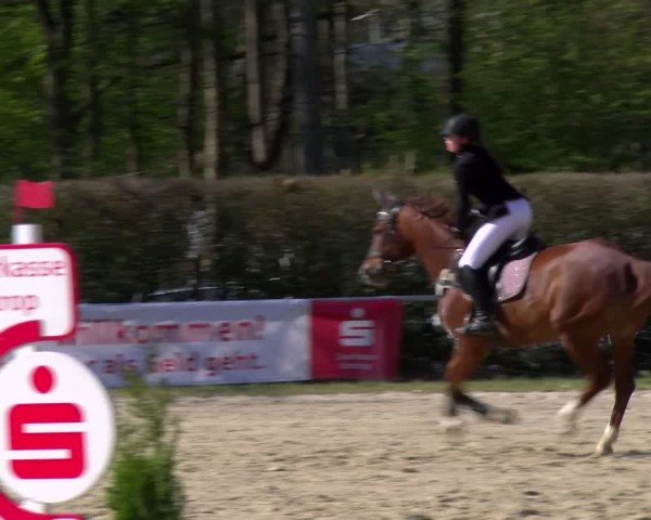 Reitturnier Bottrop 2025