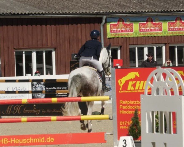 Reitturnier Memmingen 2025