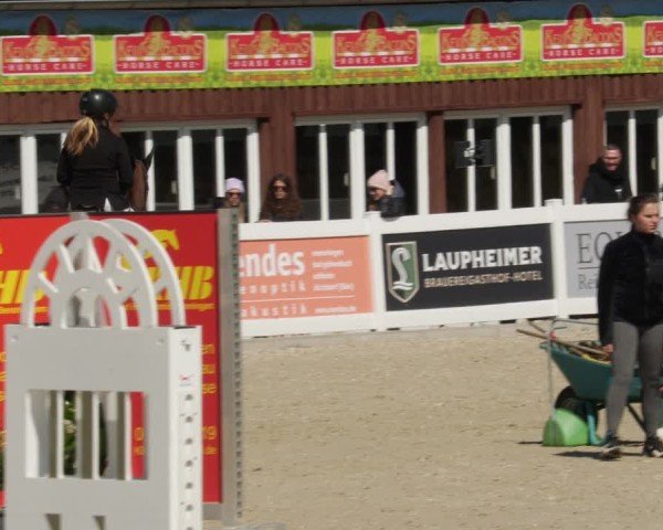 Reitturnier Memmingen 2025