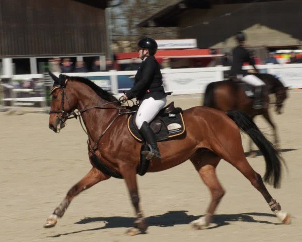 Reitturnier Memmingen 2025