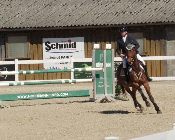 Reitturnier Memmingen 2025