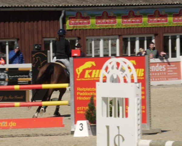 Reitturnier Memmingen 2025