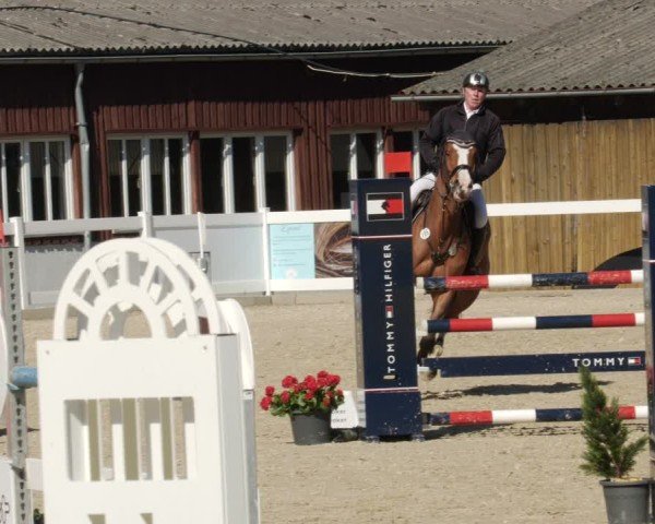 Reitturnier Memmingen 2025