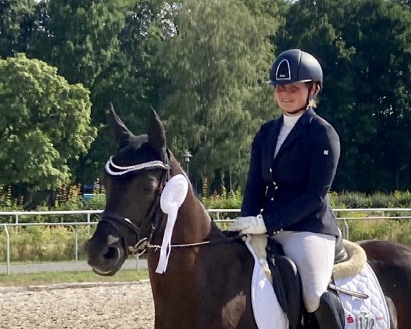 Dressurpferd Delany HW (Deutsches Reitpony, 2017, von D-Day AT) Dressurpferd Delany HW (Deutsches Reitpony, 2017, von D-Day AT)