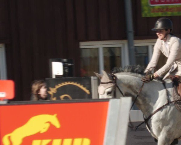 Reitturnier Memmingen 2025