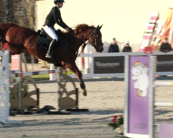 Reitturnier Memmingen 2025