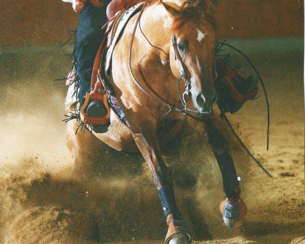 Pferd Jac That Out (Quarter Horse, 2001, von Jacs on Top)