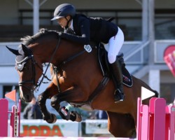broodmare Galuxy VA (Holsteiner, 2014, from Lux Z)