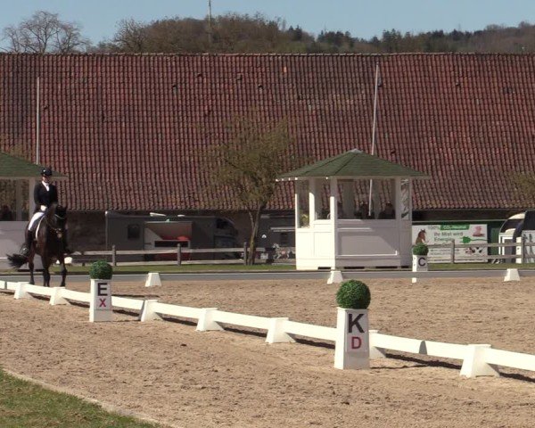 Reitturnier Balve-Wocklum 2025