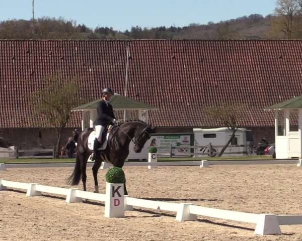 Reitturnier Balve-Wocklum 2025