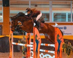 jumper Little Dollar Girl (Holsteiner, 2018, from Million Dollar)