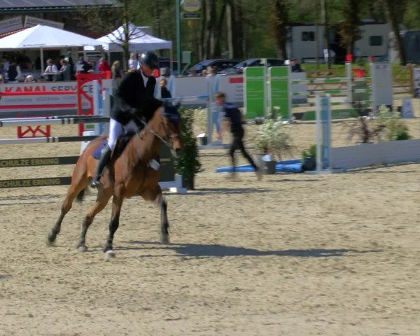 Reitturnier Borken 2025