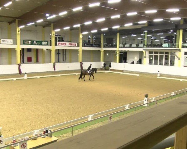 FEI Dressurturnier Stadl-Paura 2025