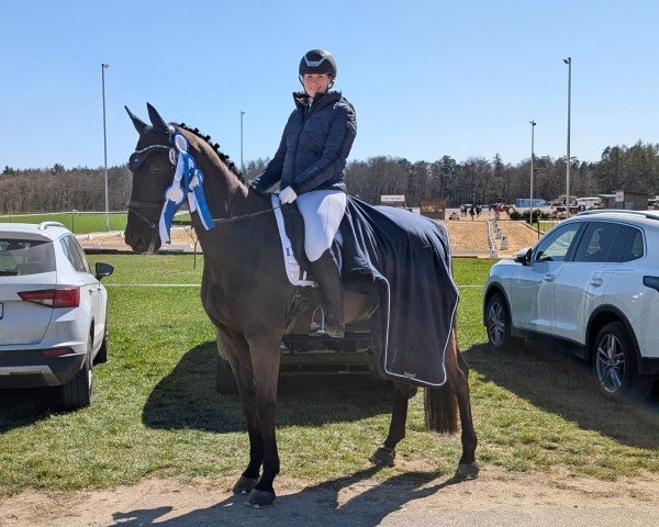 dressage horse Fabiano E (German Sport Horse, 2016, from Feriado)
