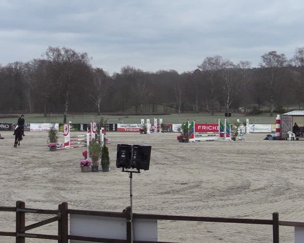 Reitturnier Westergellersen 2025