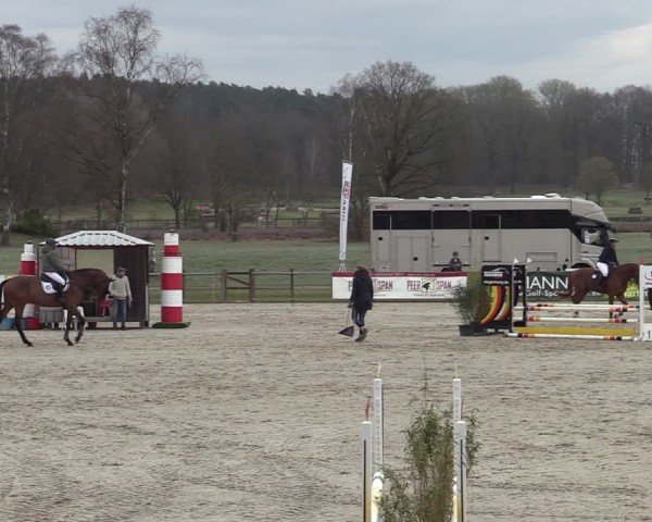 Reitturnier Westergellersen 2025