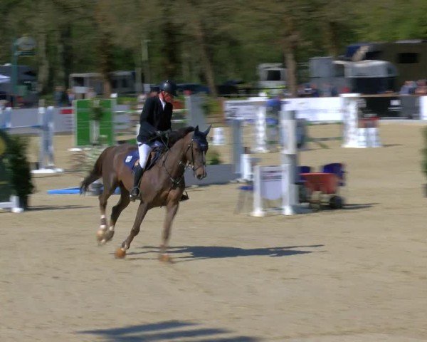Reitturnier Borken 2025