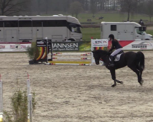 Reitturnier Westergellersen 2025