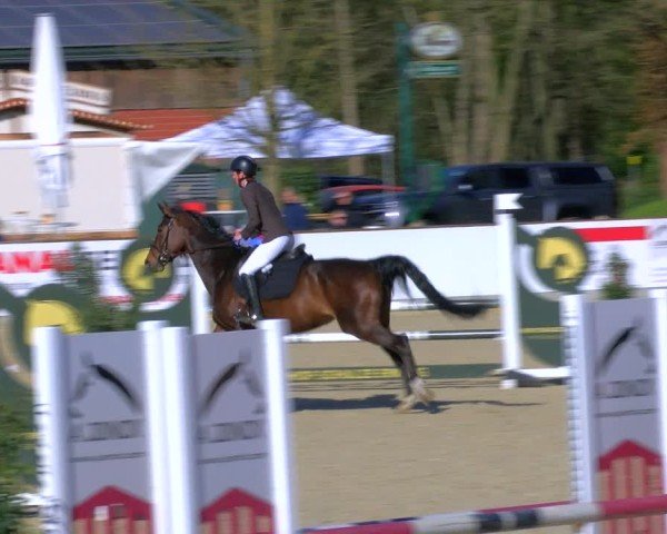 Reitturnier Borken 2025