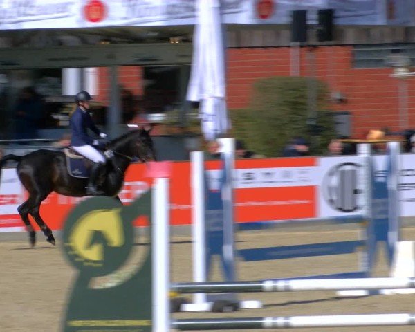 Reitturnier Borken 2025